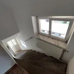 Rose House - Greenline *