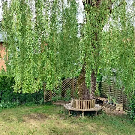 Rose House - Greenline Guest house