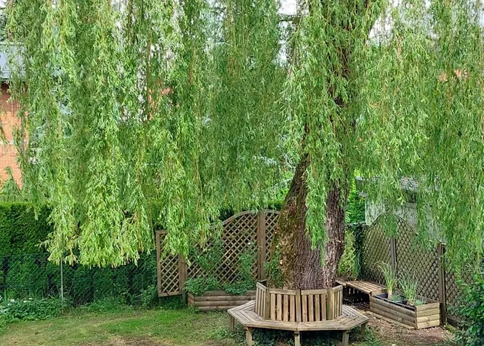 Rose House - Greenline ゲストハウス